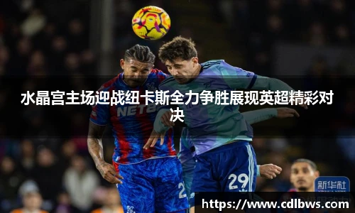 水晶宫主场迎战纽卡斯全力争胜展现英超精彩对决